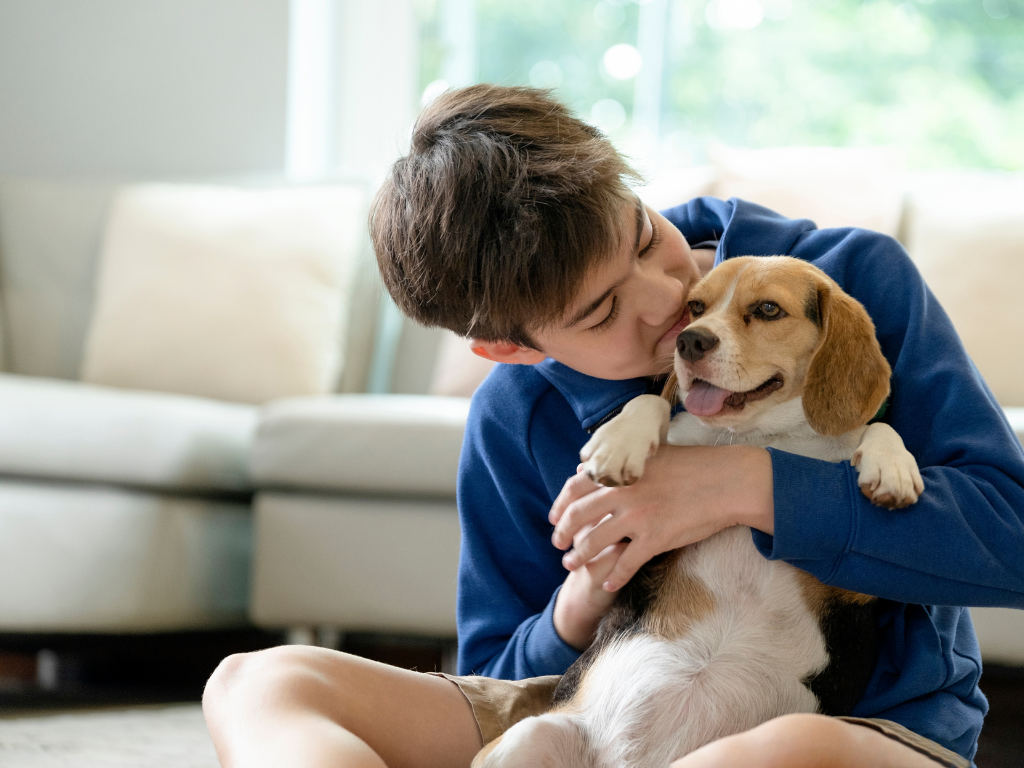 How to Find a Pet-Friendly Hotel